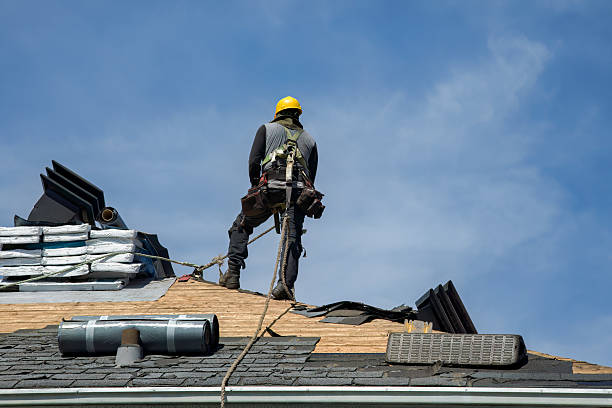 Professional Roof Replacement technician working in Etoile, KY